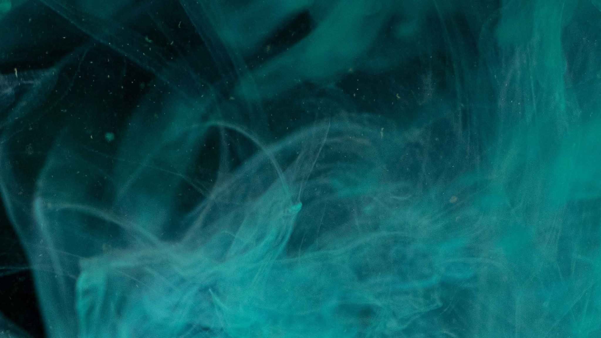 Máster en Consultoría SAP Ventas